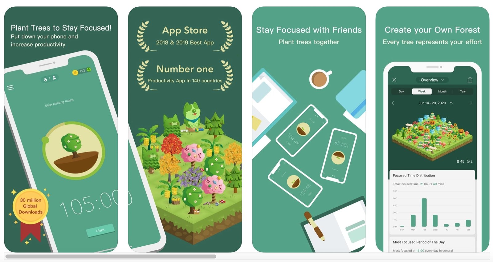Forest interface