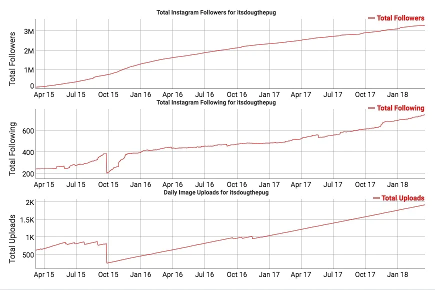 IG followers